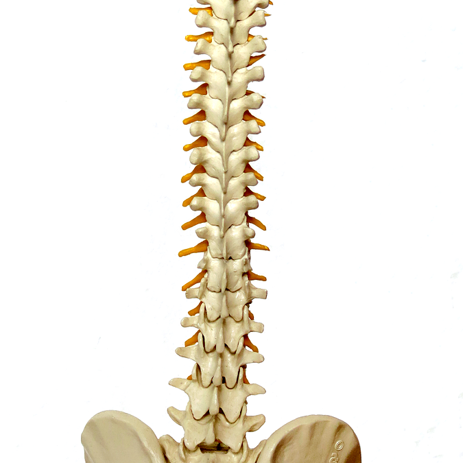 Top 3 reasons to consult a spine specialist when you have back pain
